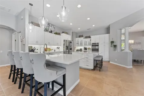 26853 Winged Elm Drive Wesley Chapel FL 33544