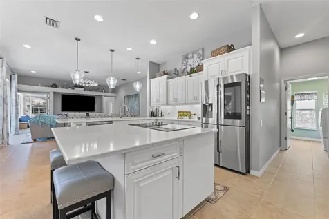 26853 Winged Elm Drive Wesley Chapel FL 33544