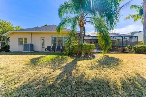 26853 Winged Elm Drive Wesley Chapel FL 33544