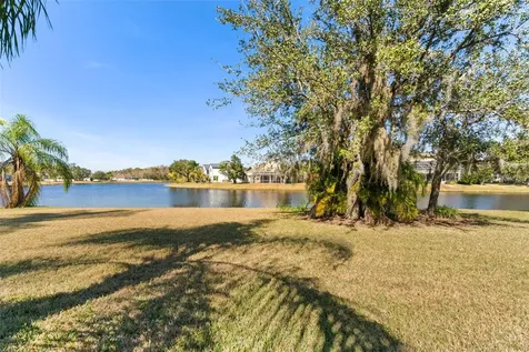 26853 Winged Elm Drive Wesley Chapel FL 33544