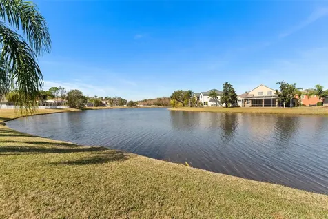26853 Winged Elm Drive Wesley Chapel FL 33544