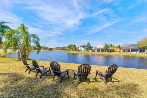 26853 Winged Elm Drive Wesley Chapel FL 33544