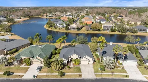 26853 Winged Elm Drive Wesley Chapel FL 33544