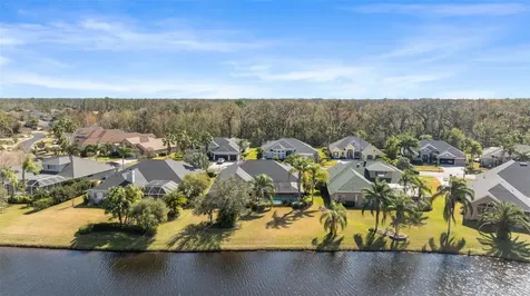 26853 Winged Elm Drive Wesley Chapel FL 33544
