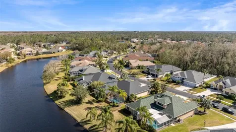 26853 Winged Elm Drive Wesley Chapel FL 33544