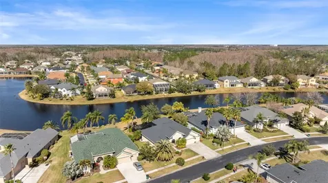 26853 Winged Elm Drive Wesley Chapel FL 33544
