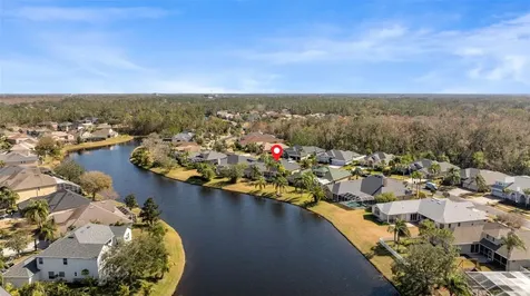 26853 Winged Elm Drive Wesley Chapel FL 33544