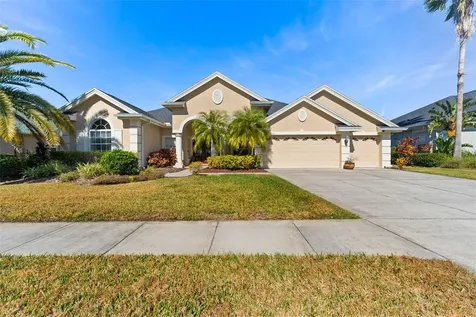 26853 Winged Elm Drive Wesley Chapel FL 33544