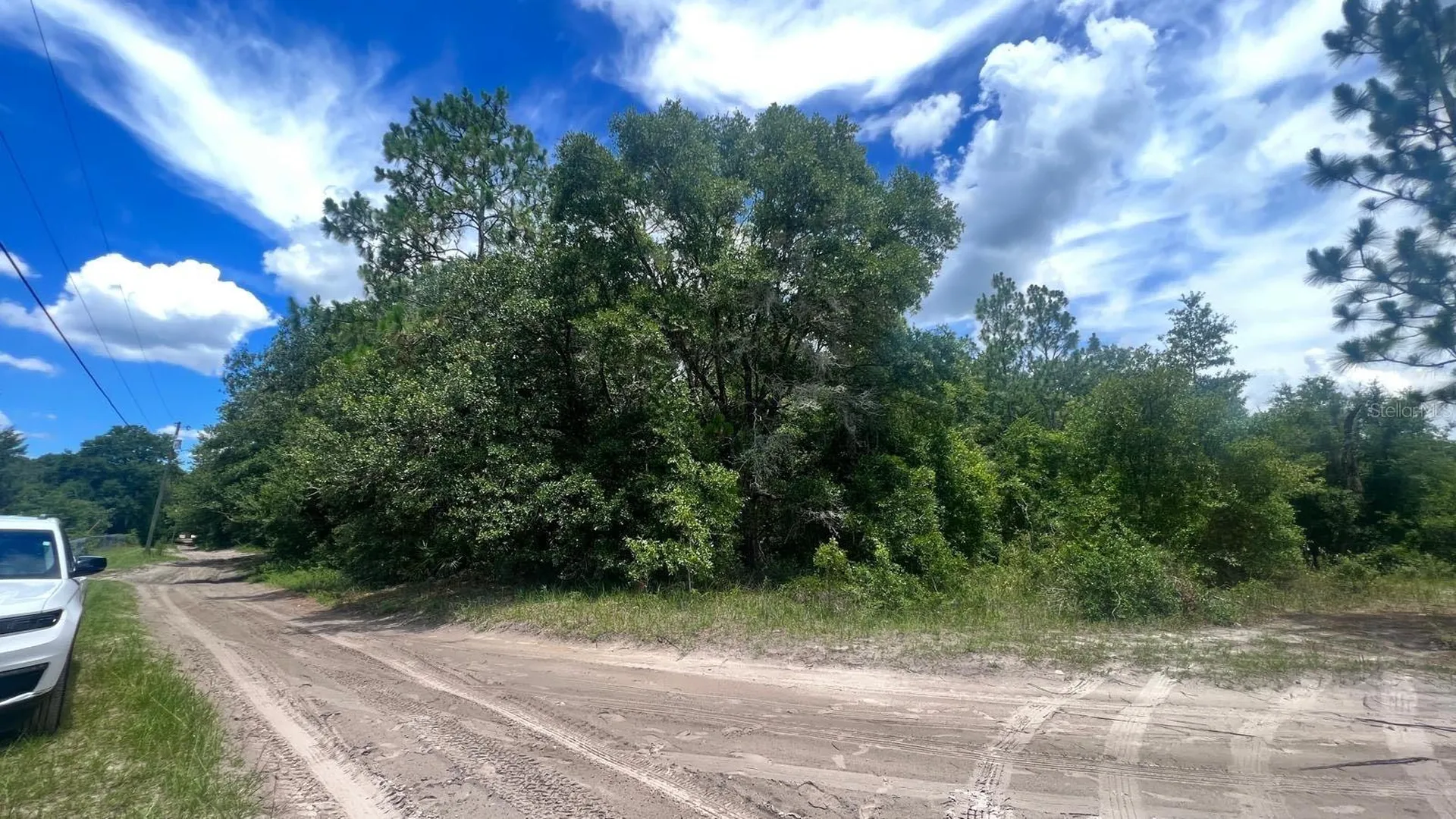 SW 156th Place Dunnellon FL 34432