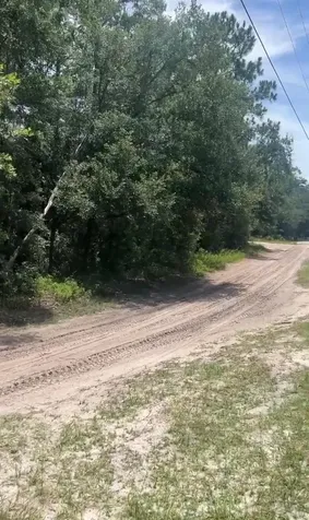 SW 156th Place Dunnellon FL 34432