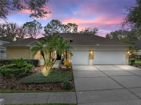 8784 Ashworth Drive Tampa FL 33647