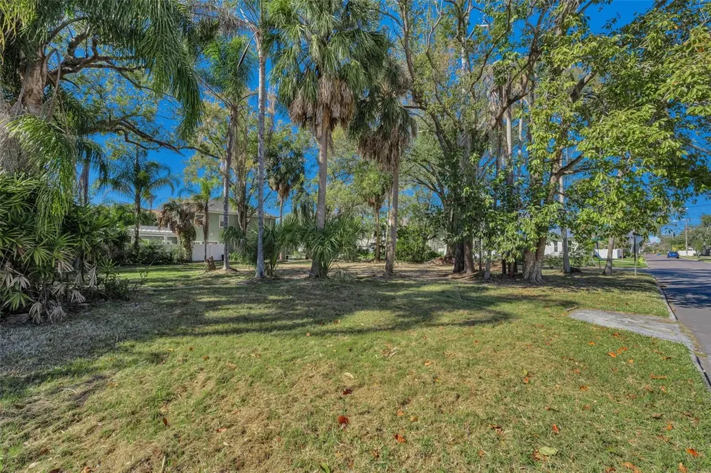 4202 W Leona Street Tampa FL 33629