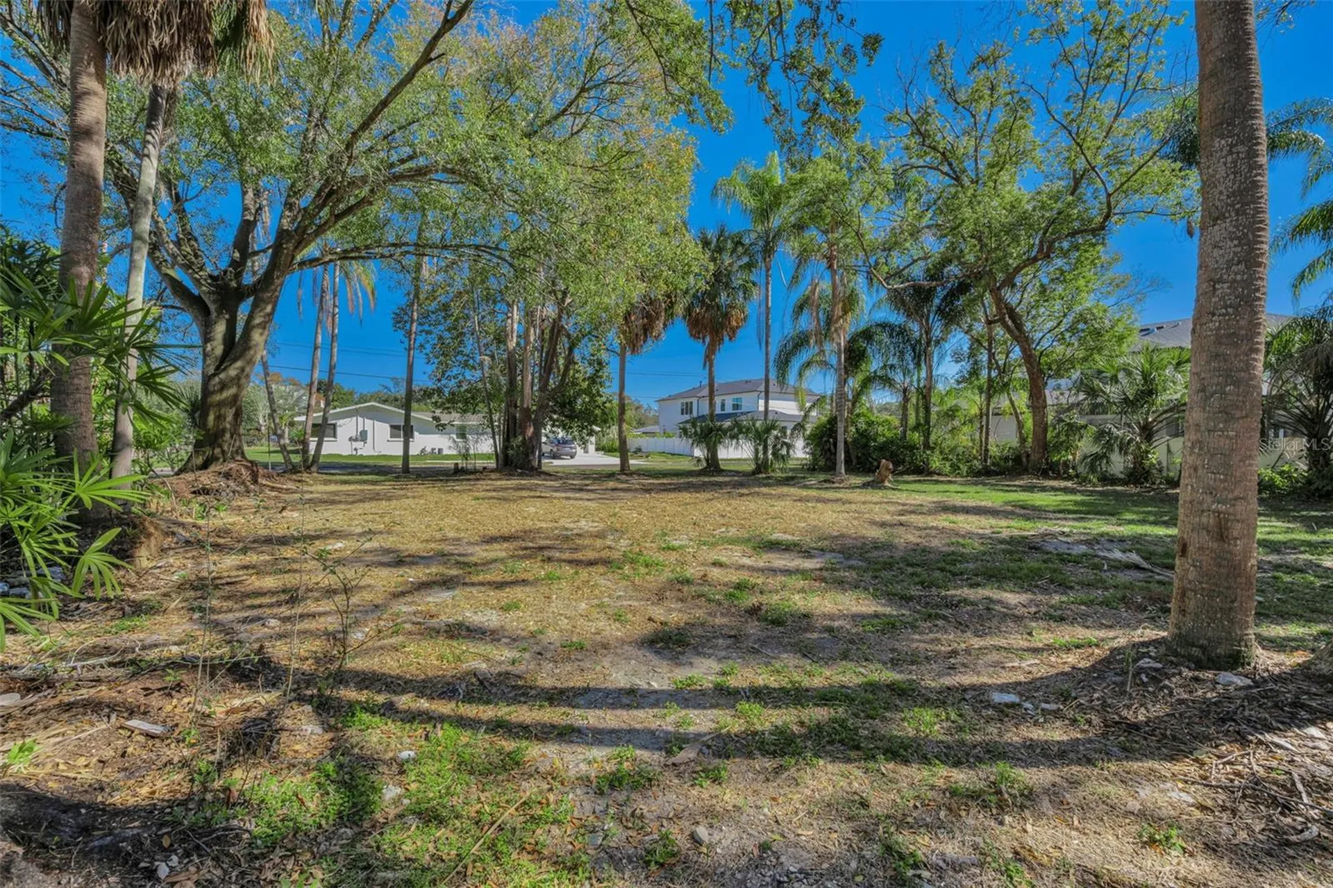 4202 W Leona Street Tampa FL 33629