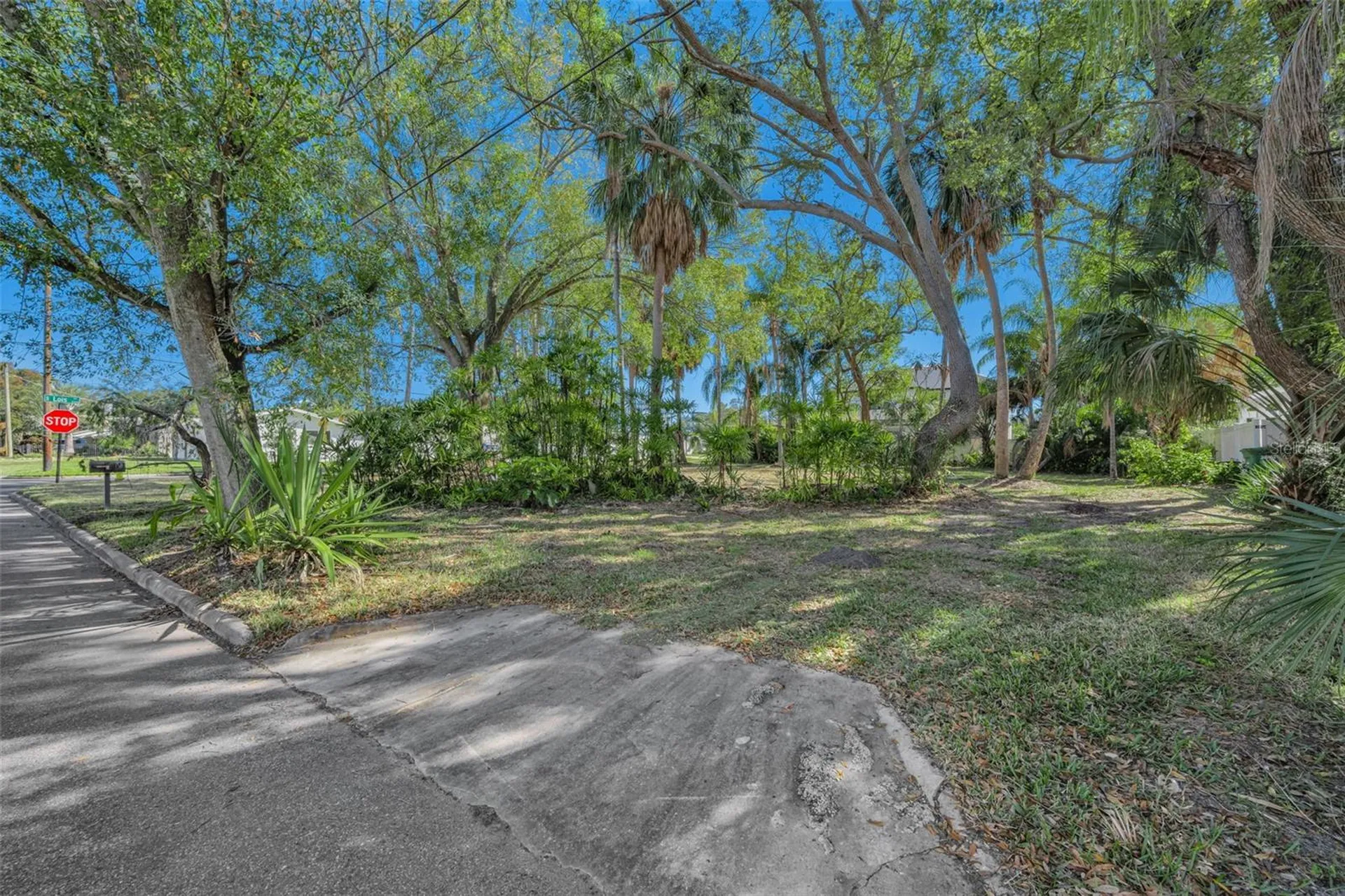 4202 W Leona Street Tampa FL 33629