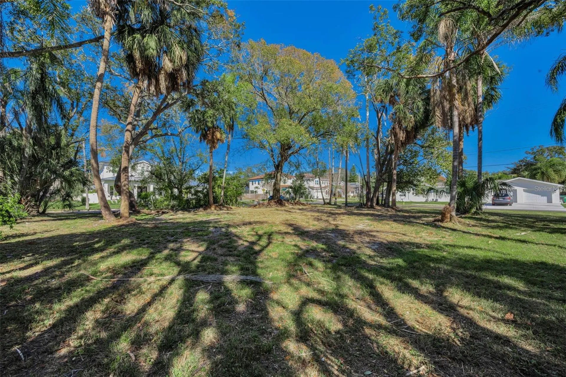 4202 W Leona Street Tampa FL 33629