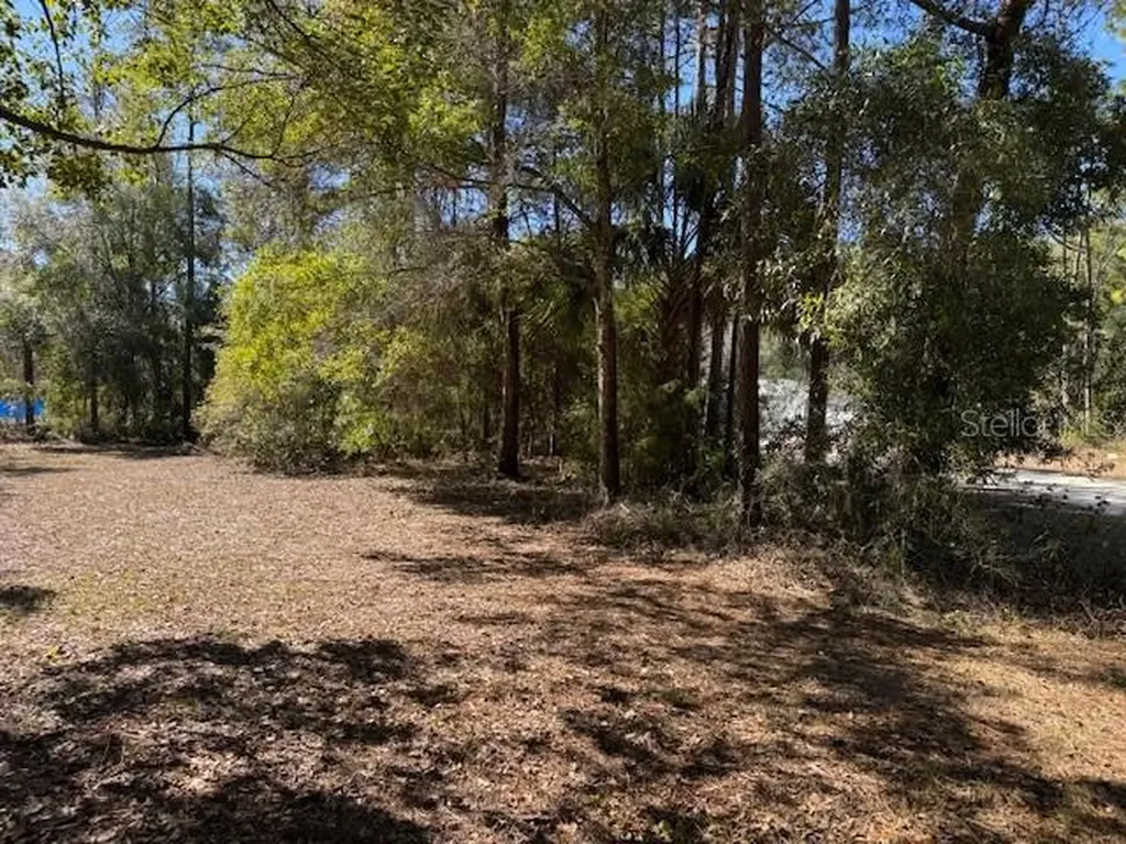 10220 W Ohio Drive Crystal River FL 34428