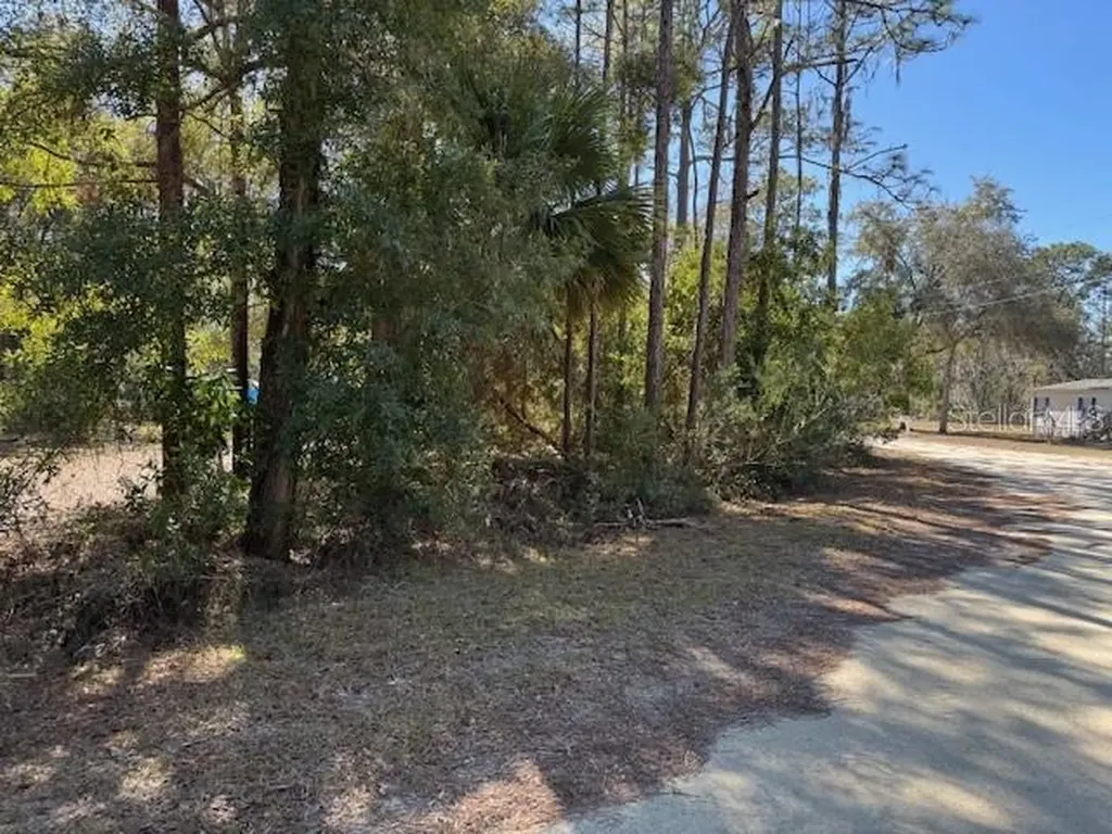 10220 W Ohio Drive Crystal River FL 34428