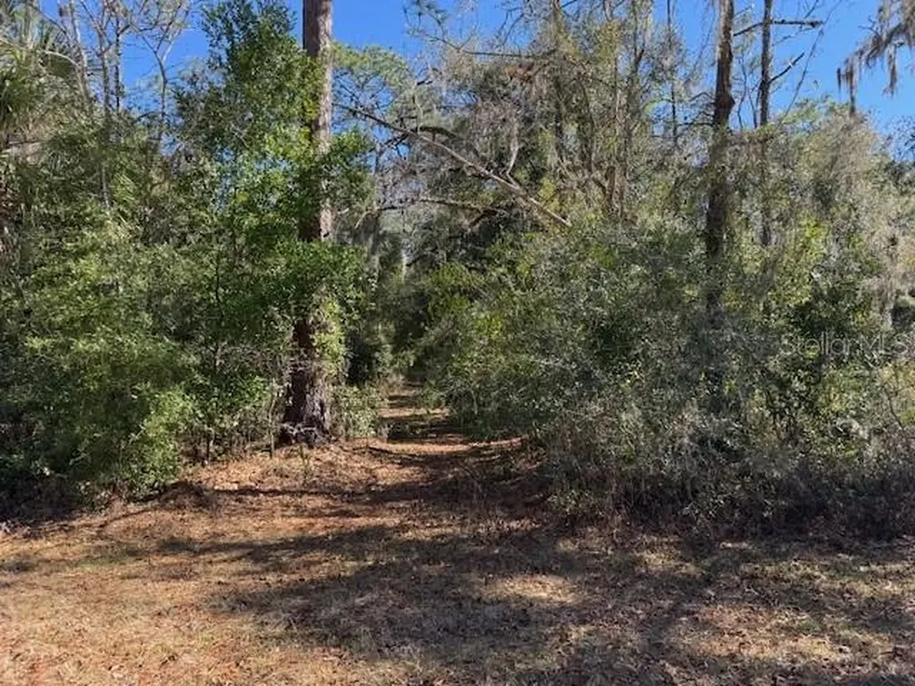 10220 W Ohio Drive Crystal River FL 34428