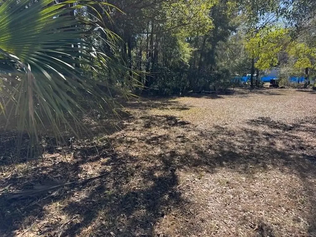 10220 W Ohio Drive Crystal River FL 34428