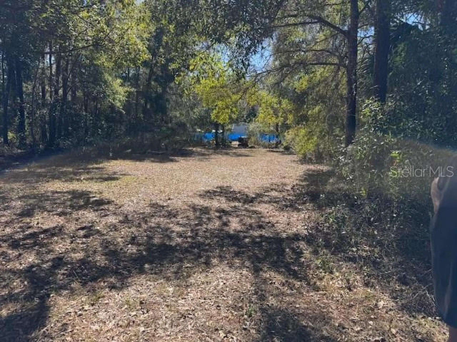 10220 W Ohio Drive Crystal River FL 34428