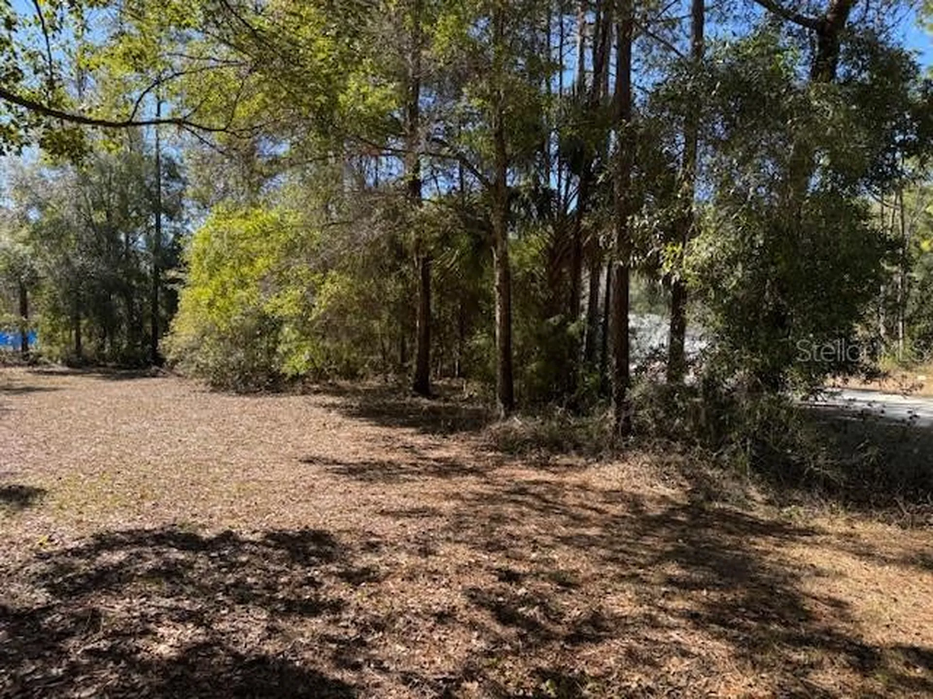 10220 W Ohio Drive Crystal River FL 34428