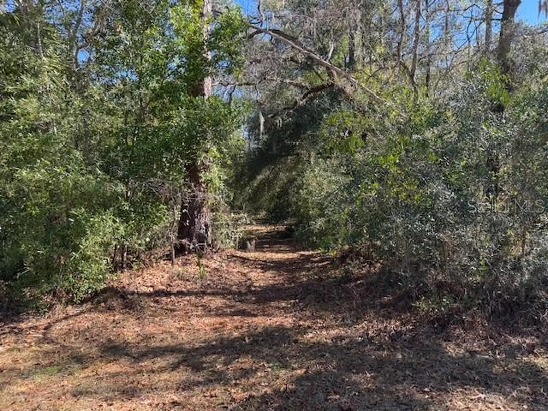 10220 W Ohio Drive Crystal River FL 34428