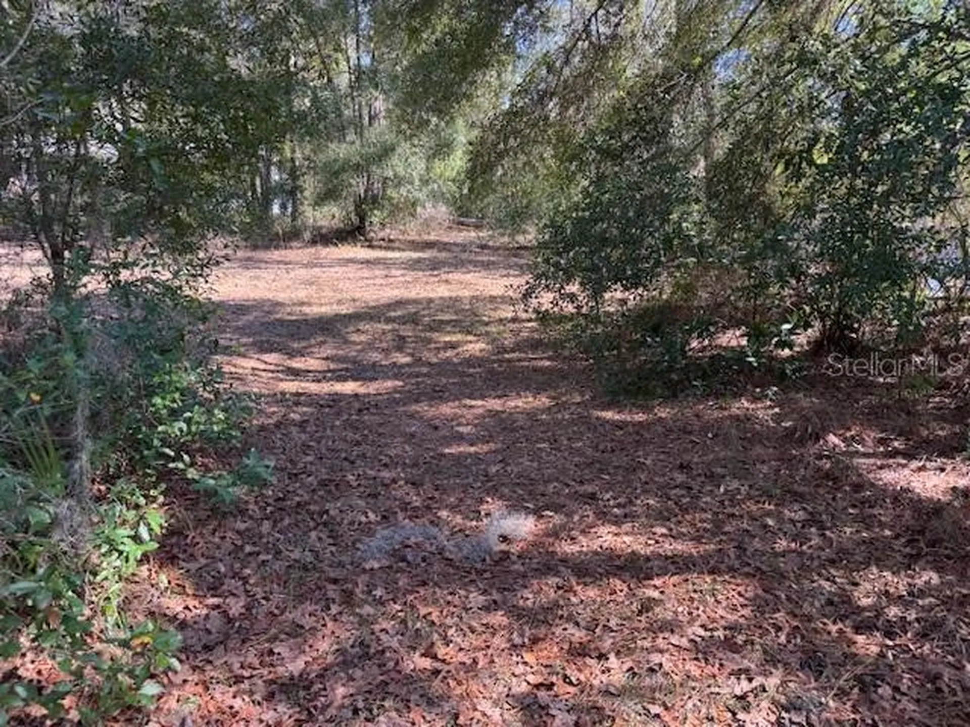 10220 W Ohio Drive Crystal River FL 34428