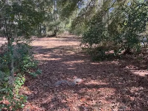 10220 W Ohio Drive Crystal River FL 34428
