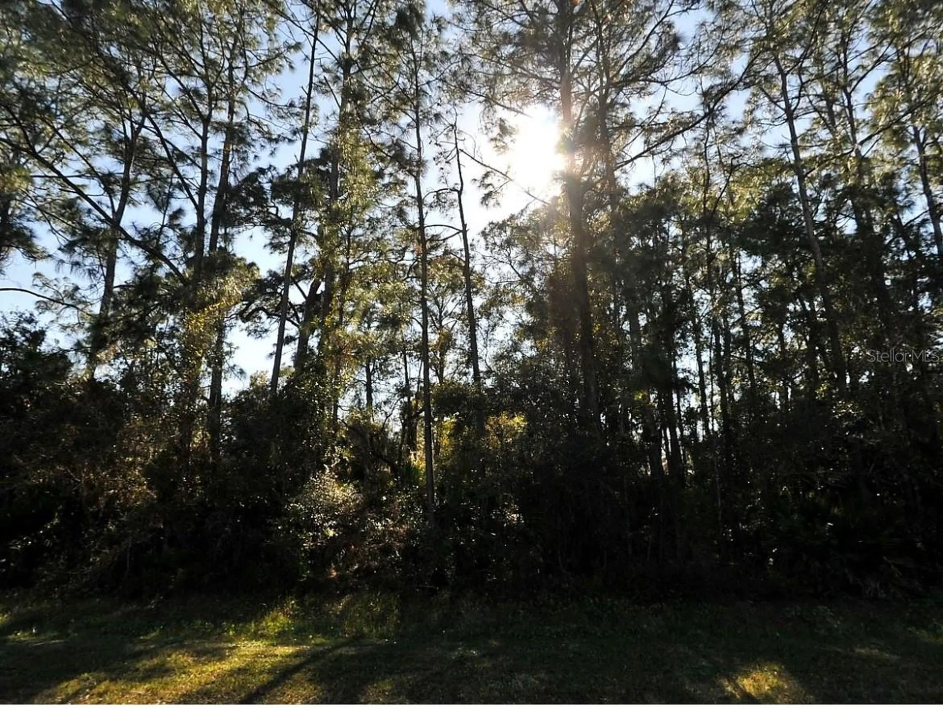 N Cranberry Boulevard North Port FL 34286