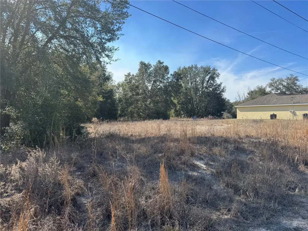 Lot 5 SW 108th Street Dunnellon FL 34432