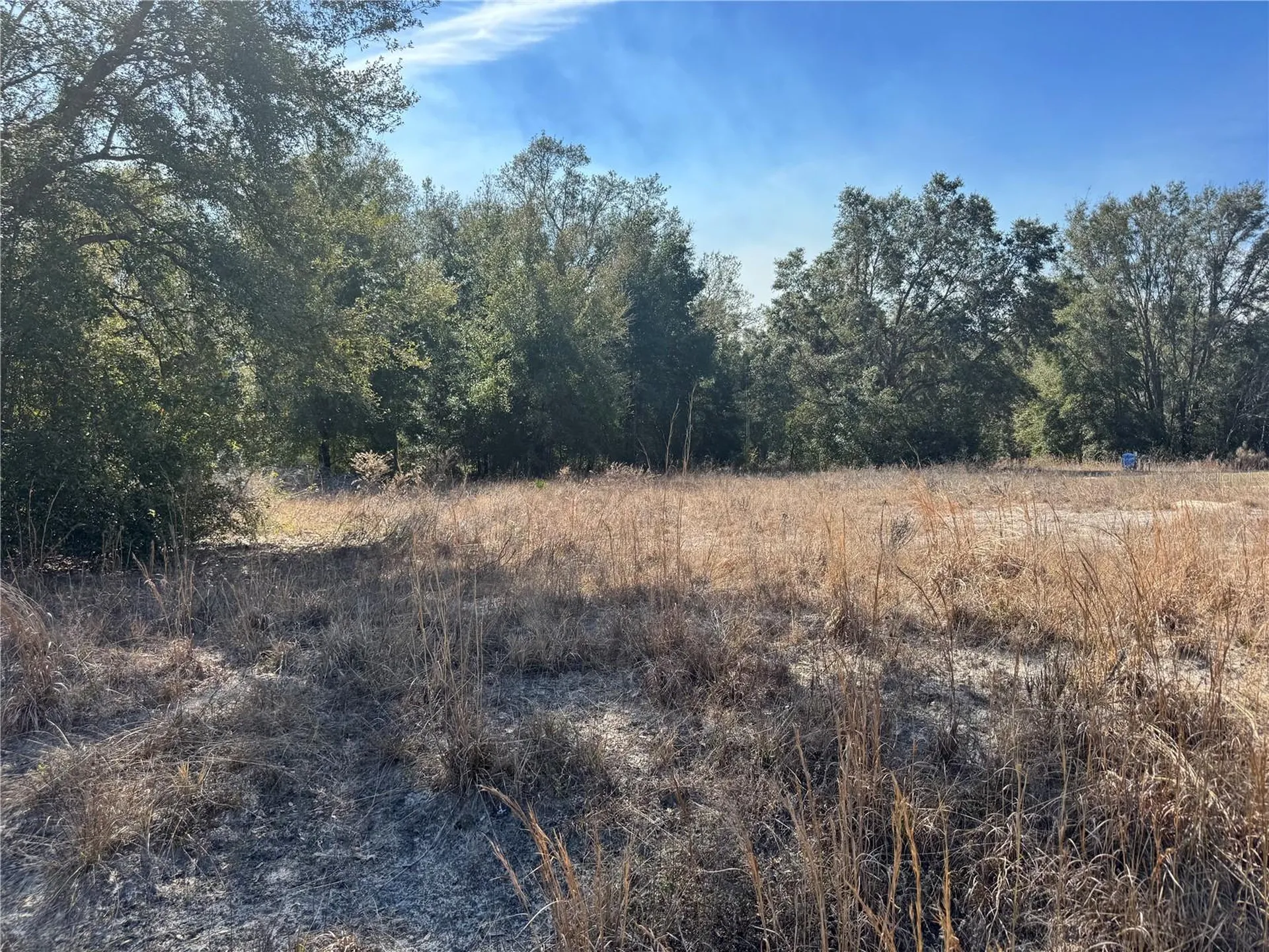 Lot 5 SW 108th Street Dunnellon FL 34432
