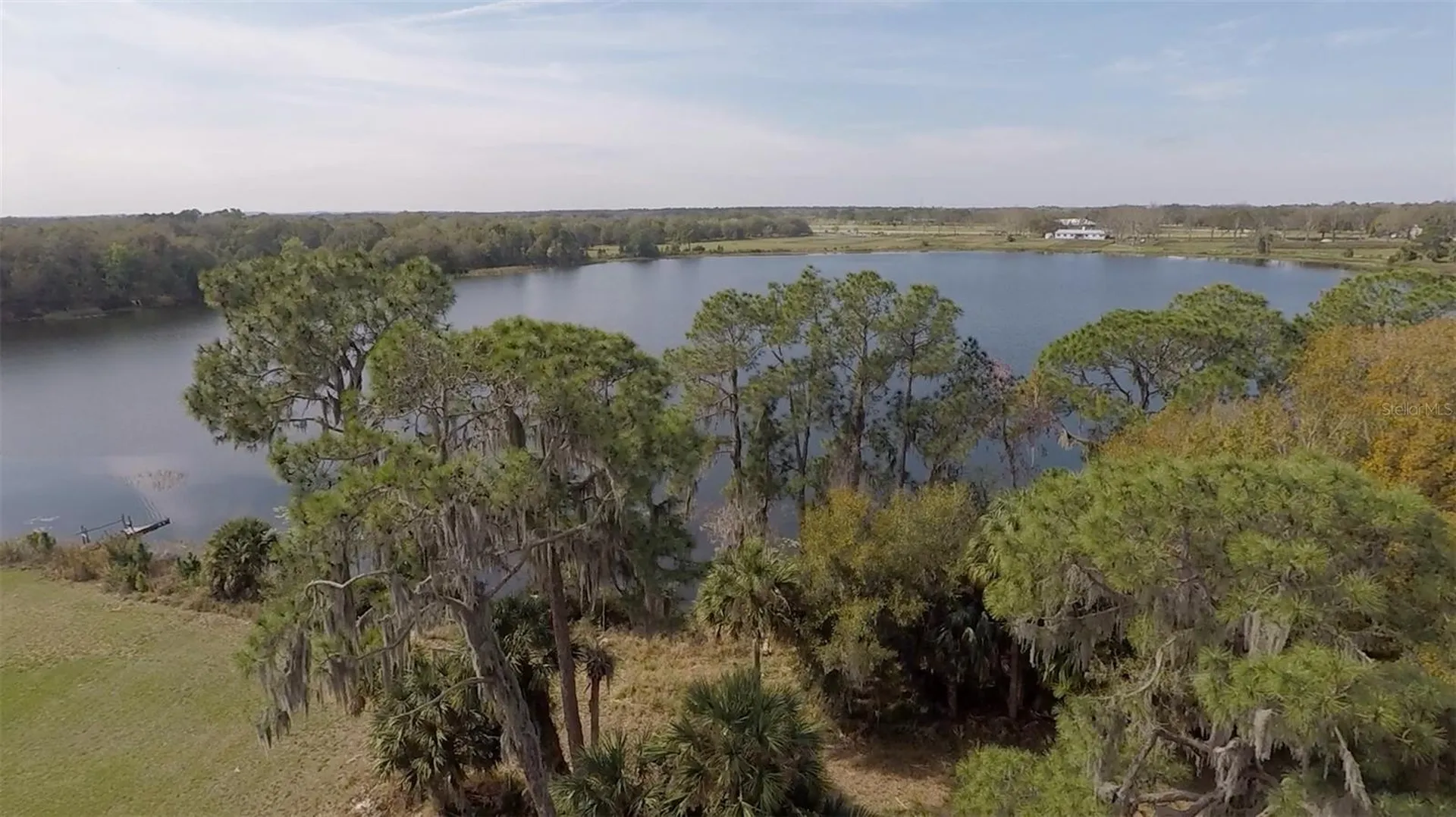 3412 Lake Diane Road Tavares FL 32778