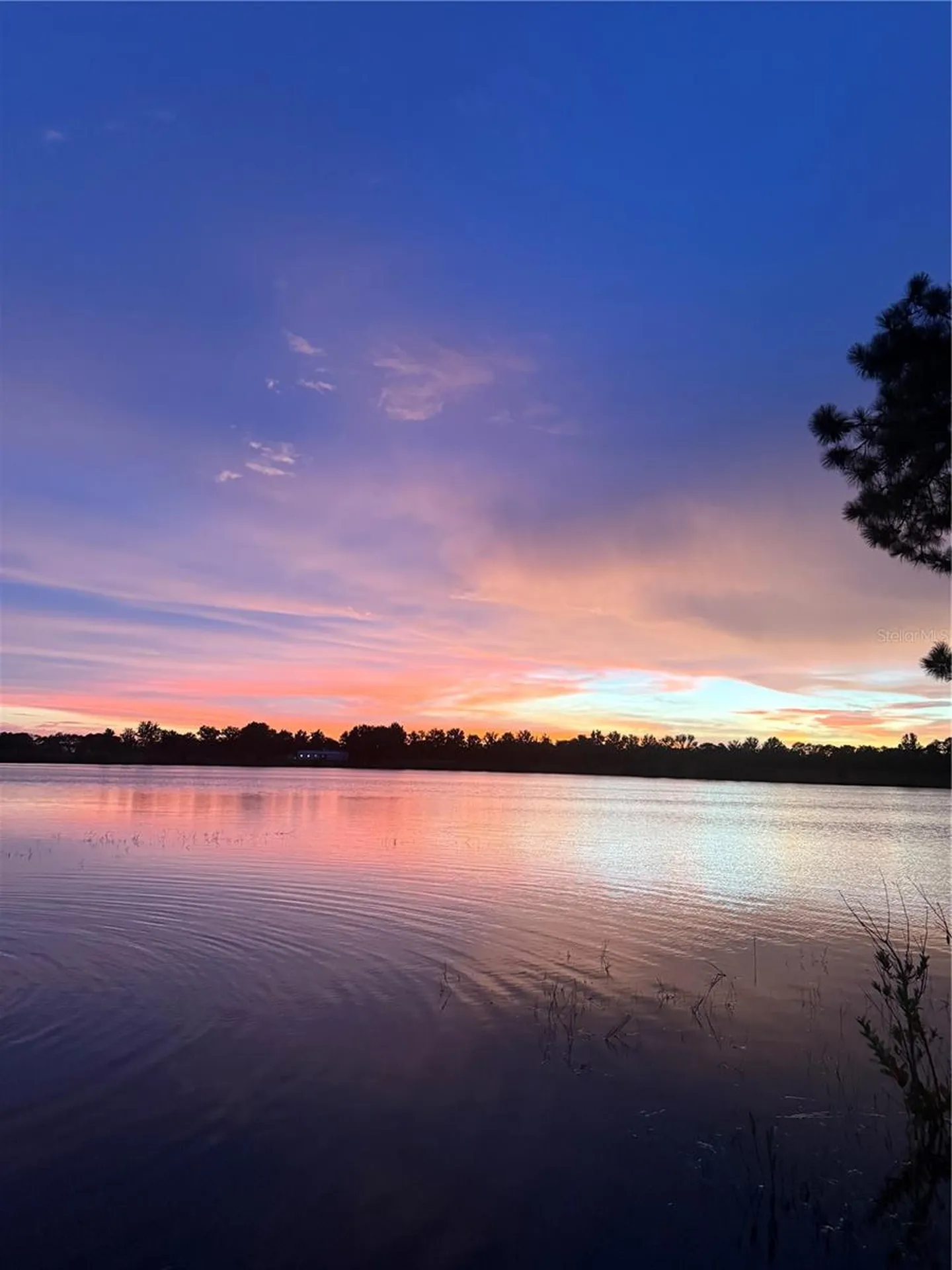 3412 Lake Diane Road Tavares FL 32778