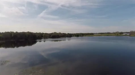 3412 Lake Diane Road Tavares FL 32778