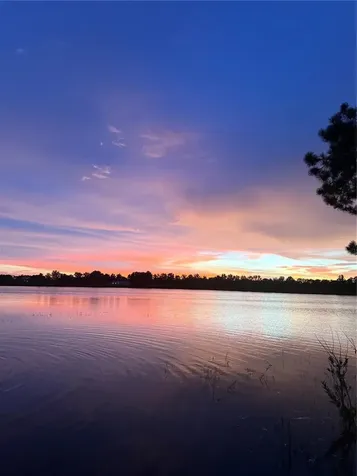 3412 Lake Diane Road Tavares FL 32778