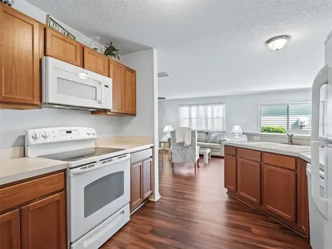 1817 Hallandale Lane The Villages FL 32162