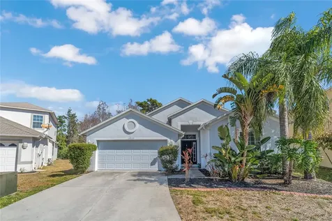 15727 Cedar Elm Terrace Land O Lakes FL 34638