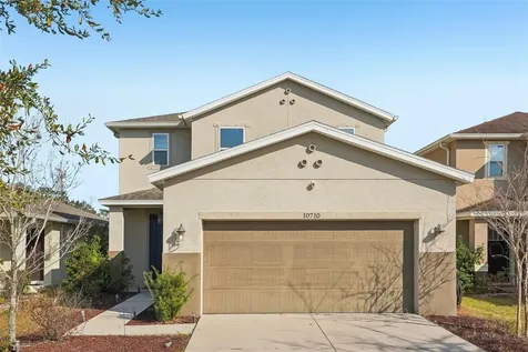 10710 Southern Forest Drive Riverview FL 33578