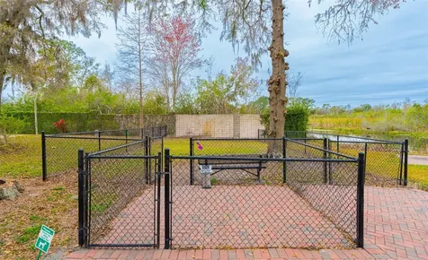 6742 Amanda Vista Circle Land O Lakes FL 34637