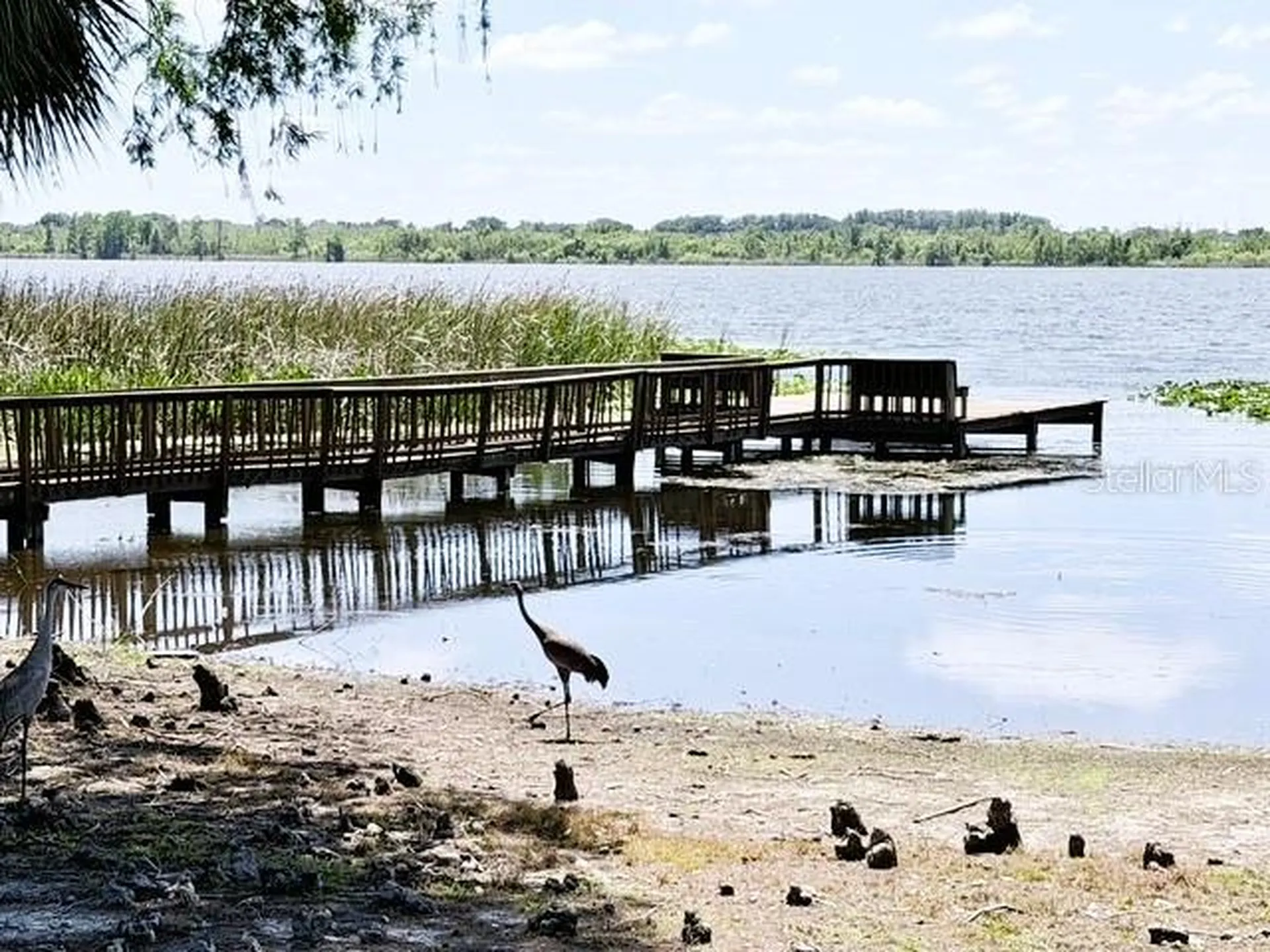 2348 Isle Royale Court SE Winter Haven FL 33880