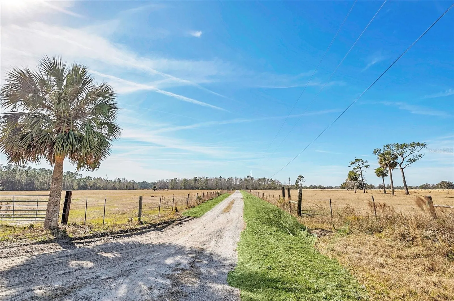 26225 Pitts Road Eustis FL 32736
