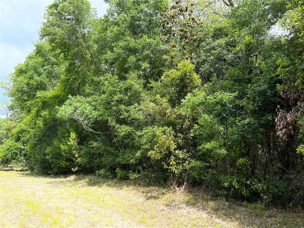 0 NW 70th Circle Chiefland FL 32626