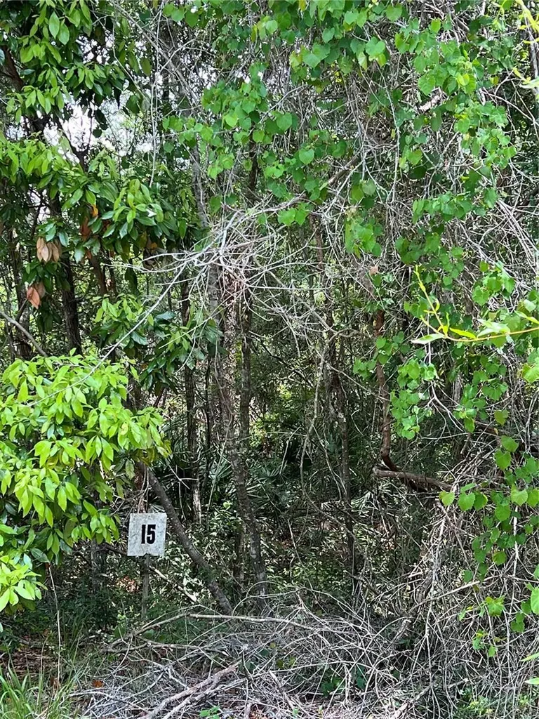 0 NW 70th Circle Chiefland FL 32626