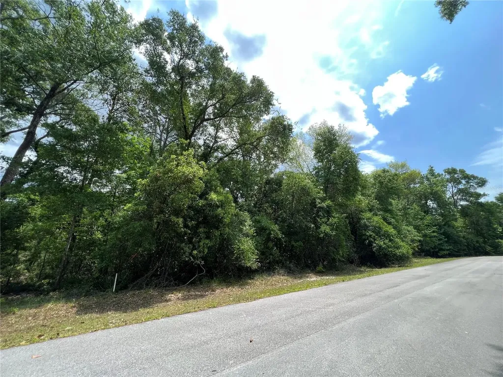 0 NW 70th Circle Chiefland FL 32626