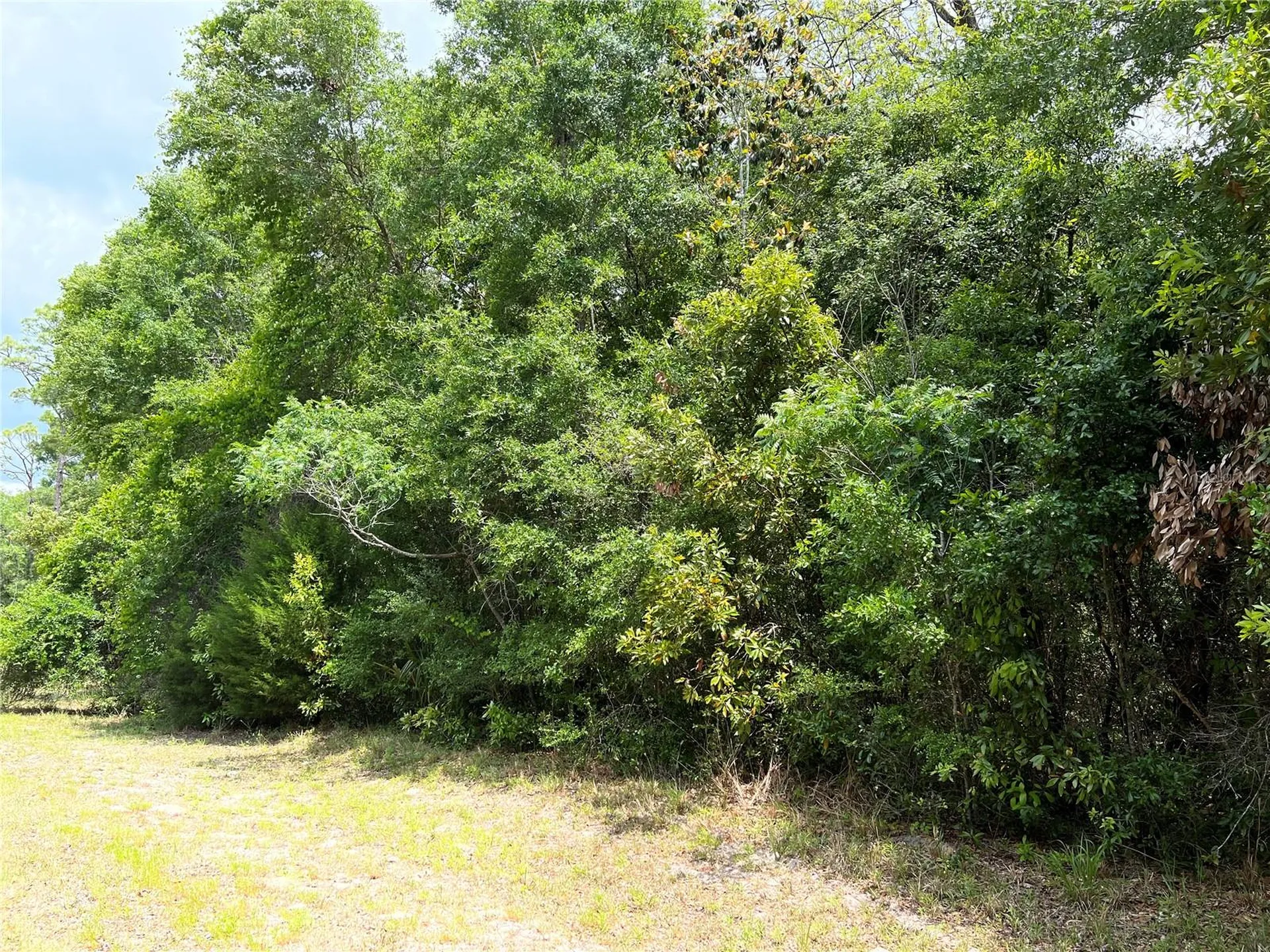0 NW 70th Circle Chiefland FL 32626