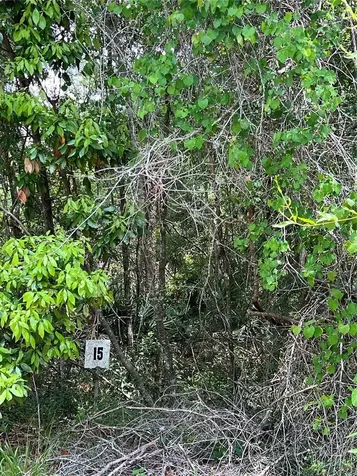 0 NW 70th Circle Chiefland FL 32626