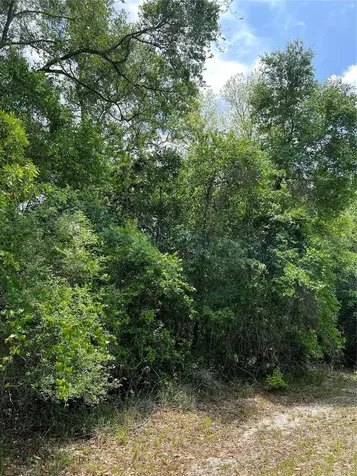 0 NW 70th Circle Chiefland FL 32626