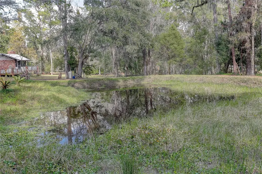 20490 Pinewood Dairy Road Brooksville FL 34601