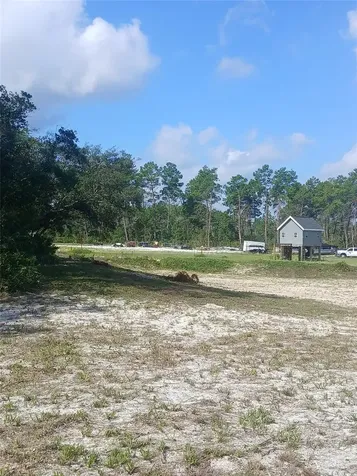 State Road 44 Eustis FL 32726