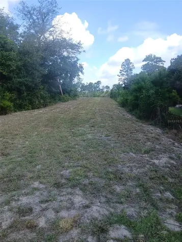 State Road 44 Eustis FL 32726